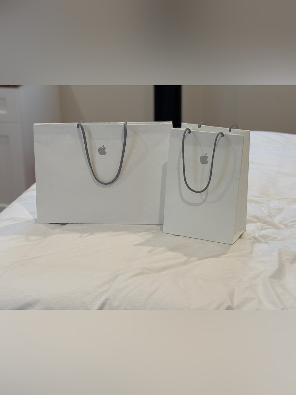 Authentic Apple Logo Stickers & Bags